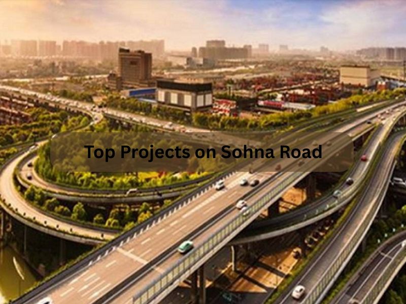 Sohna Road, Gurgaon